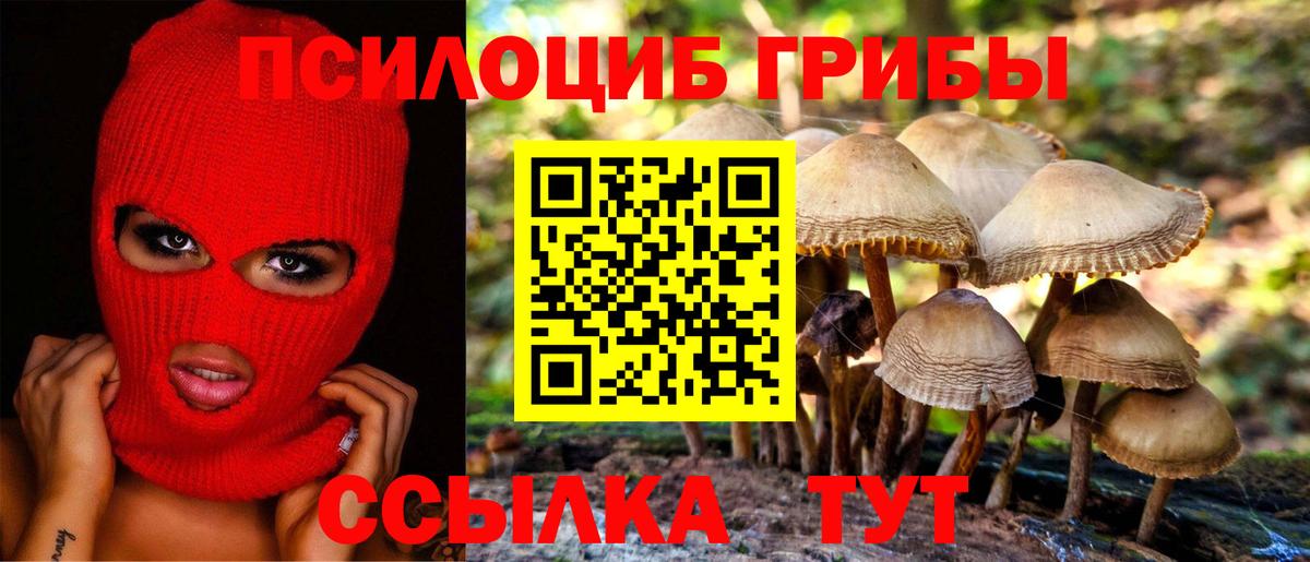 Галлюциногенные грибы Cubensis  Вход с VPN  Шелехов 